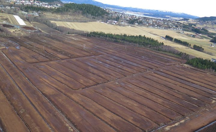 Torv brukes først og fremst til jord for dyrking av planter. Her tidligere uttak av torv ved Leinsmyra i Verdal kommune. Foto: Erlend Skutberg