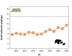 Figuren viser beregnet antall årlige ynglinger av brunbjørn i Norge for perioden 2009-2022. Stiplet horisontal linje angir den nasjonale bestandsmålsettingen på 13 årlige ungekull. Figur: Rovdata