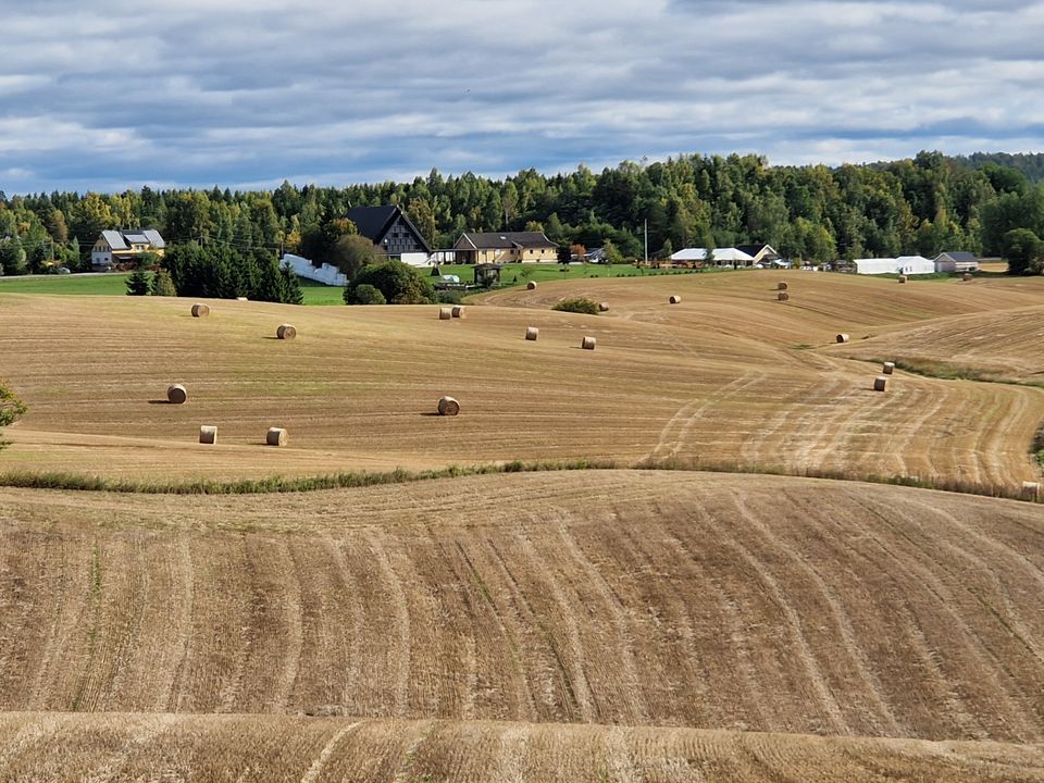 Økt Tilskuddspott Til Jordvernstrategier I Kommunene ...