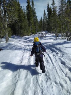 Denne 4-åringen løper innover i skogen ved Gropmarka i Innlandet. Foto: Ida Filberg @ida_ny85