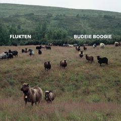 "Budeie Boogie" er andre singel fra Fluktens kommande album.