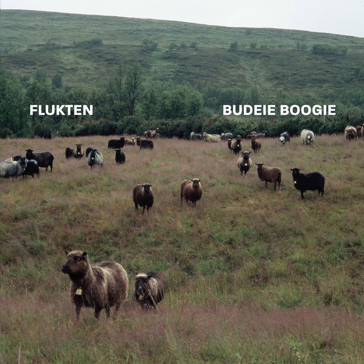 "Budeie Boogie" er andre singel fra Fluktens kommande album.