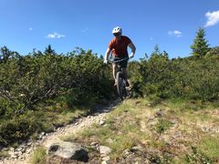 TERRENGSYKLING: Å sykle på sti gir fart, spenning, adrenalin og god trening. Det er lov å sykle på stier både i skogen og på fjellet. Foto: Synne Kvam/Norsk Friluftsliv.