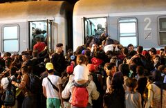 Syrian refugees crossing the Serbian-Croatian border.
Francesco Malavolta/IOM 2015