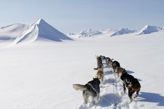 Foto: Hurtigruten Svalbard/Green Dog