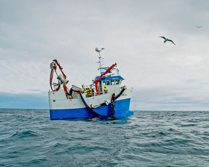 Det har lite å si for pris om den norske torsken har beholdt sin MSC-sertifisering eller ikke. Det kan forskere ved Nofima og Norges fiskerihøgskole slå fast.