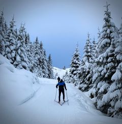 Mye snø og godt skiføre er ikke hverdagskost i Bergen. Byen har hatt den tiende kaldeste toukersperioden noen gang målt. Foto: Lillan Kalve