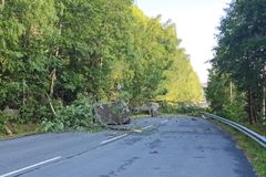 Store steiner og trær sperrer rv. 41 ved Haugsjåsund. Geolog og fjellsikringsteamet til Mesta er på vei til rasstedet.