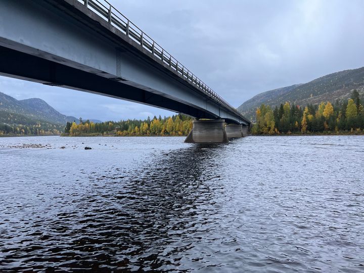 Foto: Statens vegvesen.