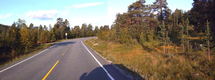 Denne svingen på rv. 15, rett vest for bommen ved Billingen i Skjåk, skal rettes ut og vegen skal utvides til 8,5 meter bredde. (Foto: Statens vegvesen)