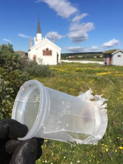 Bilde 2: Frivillige ryddere i prosjektet Vakre Varanger finner stadig gravlykter i plast med tydelig spor fra fugler. Foto: Inger Unstad.
