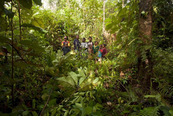 Voksne og barn i regnskogen på Papua Ny-Guinea i forbindelse med regnskogbevarende prosjekt (REDD+).