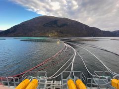 Slam som i dag vaskes ut i sjøen fra norsk oppdrettsanlegg kan forsyne inntil 600000 husstander med strøm, og dekke behovet for fosforgjødsel tilsvarende hele det svenske landbruket hvert år. (Foto: Ragn-Sells AS)