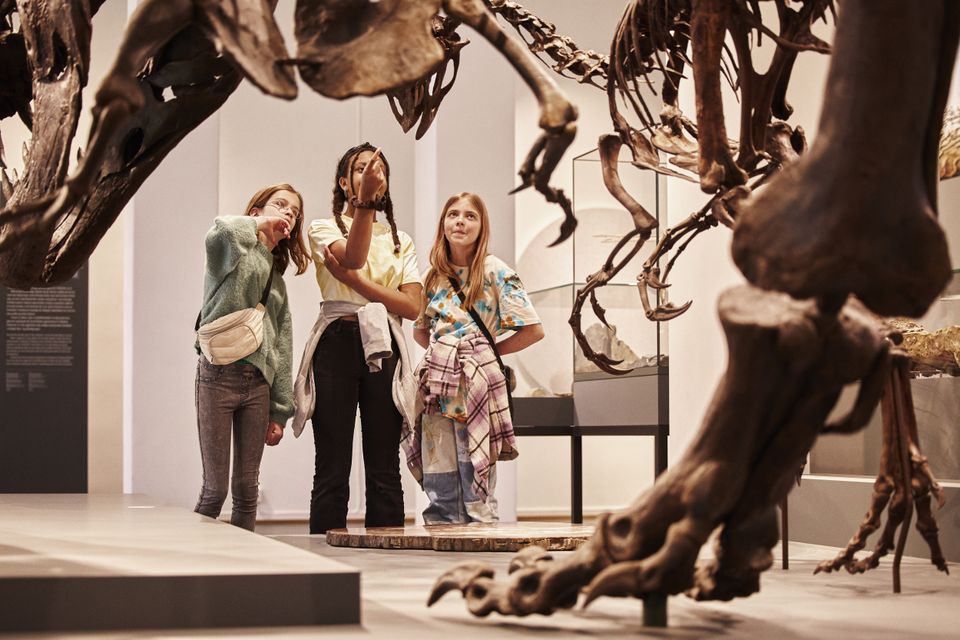 Geologiske utstillinger_dinosauerer