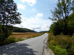 De neste månedene skal naturforvaltere i COWI kartlegge floraen i pressområder i Østfold, Vestfold og Agder. Et viktig mål er å unngå at verdifull natur går tapt.