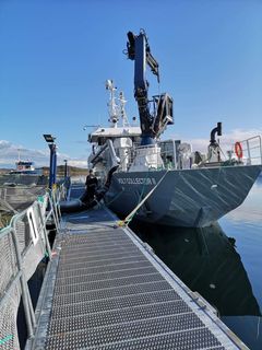 VOLT Services, et datterselskap av Remøy Management, har straks to bløggebåter i sin flåte. VOLT Collector II er en mindre, helautomatisk beredskaps-bløggebåt, som primært brukes
til håndtering og utsortering av fisk.