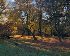 Oktober i Botanisk hage i Oslo. Foto: Amalie Kvame Holm