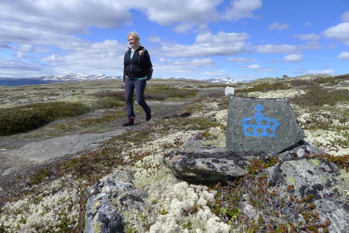 Kongevegen er merket med den blå kongekrona. Her ved Hardbakken, med Snøhetta i bakgrunnen. Foto: Marit Johansson, Statens vegvesen