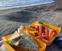 Sunn turmat: oppkuttet frukt og grønt på boks