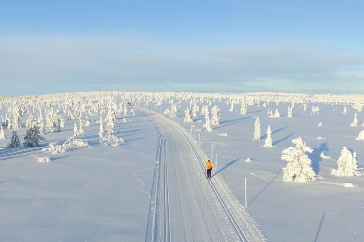 Milevis med skiløyper på Hedmarksvidda. Foto: Visit Mjøsa