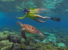 Great Barrier Reef er på manges liste over steder de vil se når de tar turen til Australia.