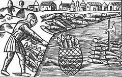 Sild var en stor handelsvare lenge før 1555, da denne illustrasjonen ble laget. Kilde: Olaus Magnus: «De nordiske folkenes historie»/Wikimedia Commons