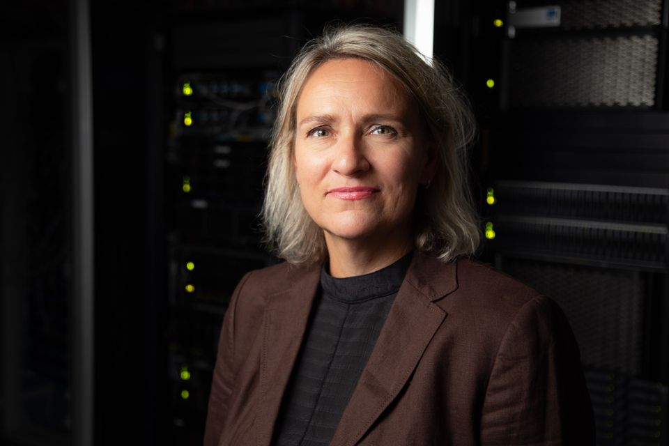 Kari Rannov Bostad, Avdelingsdirektør virksomhetsstyring og IKT, NGU 