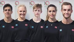 EM laget