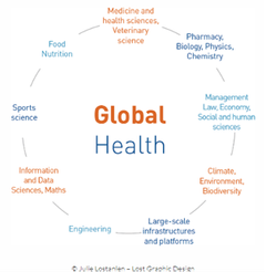 Figuren viser hvor bredt begrepet 'global health' favner. Foto: EUGLOH