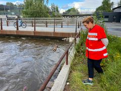 En sterkt preget vegdirektør Ingrid Dahl Hovland ser på skadene ekstremværet Hans har forårsaket på Gjøvik. Foto: Erik Larsstuen, Statens vegvesen
