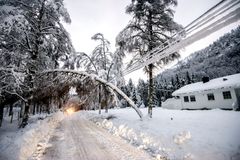 Illustrasjonsfoto: Agder Energi Nett minner om at det er viktig å holde god avstand dersom en oppdager strømlinjer som har falt på bakken, lavthengende linjer og trær som har falt ned på linjene. Berøring kan medføre livsfare. Meld fra om slike situasjoner til kundesenteret på telefon 38 60 72 72.