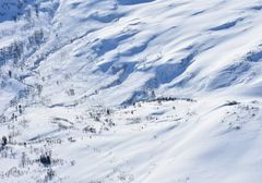 Fra oppsyn i Rindal kommune i Trøndelag i vinter. Foto: Miljødirektoratet/SNO