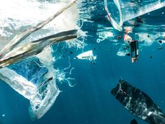 Hvert år havner store mengder plastavfall i naturen og utgjør en stor trussel for miljøet. Foto: Naja Bertolt Jensen / Unsplash
