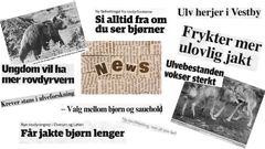 Kollasj av avistitler fra artikkelen til Vilde Sponberg fra Engerdal, en region i Norge der konflikten rundt rovdyr til tider både er heftig og levende. Ikke minst i avisspaltene.