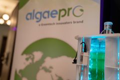 Mikroalger fra AlgaePro