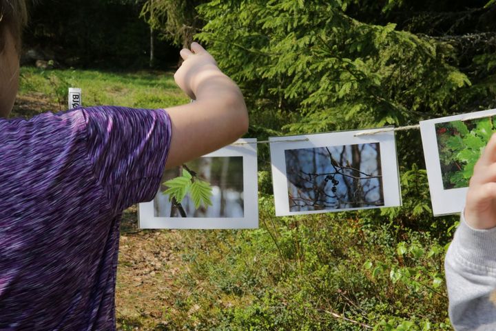 – De lærerne som ofte lykkes er de som bruker nærområdet, sier Merethe Frøyland ved Naturfagsenteret. Foto: Gina Aakre