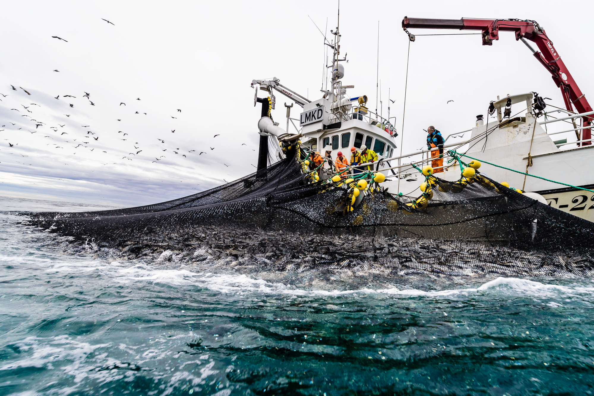 Судно на промысле. Траулер Баренцево море. Добыча рыбы. Добыча рыбы в океане. Промысловое рыболовство.