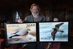 Viggo Ree viser fram frimerkene med falkemotiver fra hans akvareller. Foto: Birger Morken, Posten