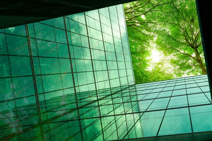 Illustration photo: looking through a building up at a tree.