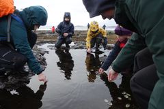 Folk deltok under Kom deg ut-dagen i Randaberg selv om det var meget frisk vær. FOTO: Anne Katrine Lycke.