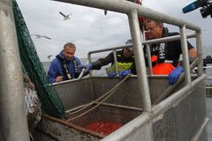 Fiskeriminister Harald T. Nesvik på rekefiske med Lennart Danielsen
