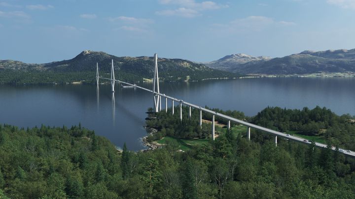 Hengebru i to spenn over Halsafjorden med sentralt tårn på tension leg platform (TLP). Illustrasjon: Dissing+Weitling/AMC