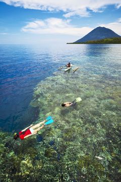 Snorkling i Indonesia