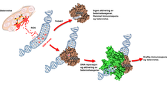 Slik fungerer molekylet TH5487. Det lurer reparasjons-enzymet til å tro at det allerede har funnet DNA. Dermed utløser det ikke en sterkere betennelse. Illustrasjon: SINTEF.