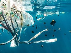 Ni norske forskere har gitt norske miljømyndigheter innspill om hva de bør vektlegge framover for å få til et forbud mot plast. Foto: Unsplash, Naja Bertolt Jensen