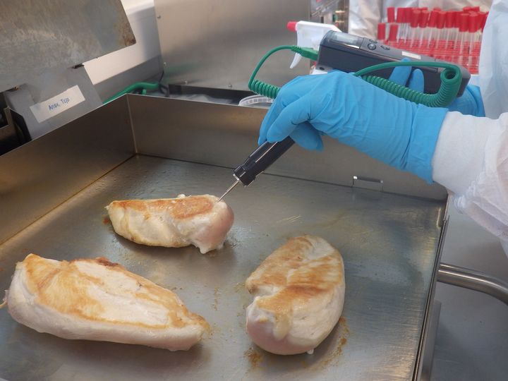 Forskerne har tilsatt Salmonella og Campylobacter i kyllingfileter. Deretter har de stekt filetene, og kontrollert bakterieinnholdet når kyllingkjøttet har gått fra rosa til hvit, når kyllingkraften har gått fra rosa til klar, når steketermometeret når 70°C og når kjøtt-teksturen har blitt fast. Foto: Solveig Langsrud/Nofima