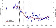 Eira har blitt fraført vann ved tre kraftutbygginger (stiplede linjer). I 1953, 162 og sist i 1970 da Mardalsfossen ble lagt i rør. Vannføring (rød linje) og gjennomsnittlig laksestørrelse (blå punkter) henger tydelig sammen.