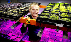 Tåsen Microgreens AS ved eier Christopher Rodriguez