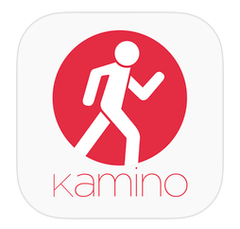 Kamino