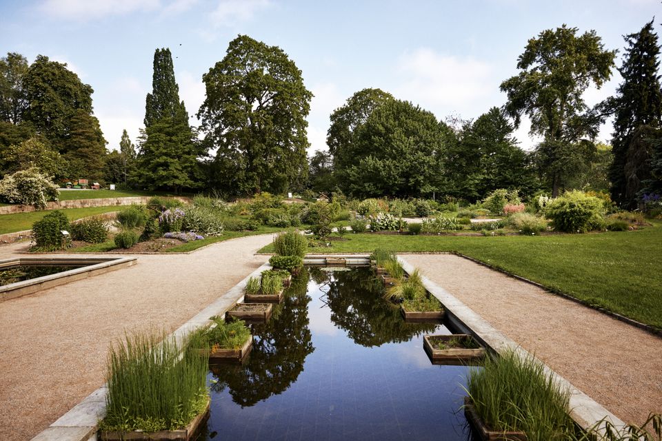Botanisk hage